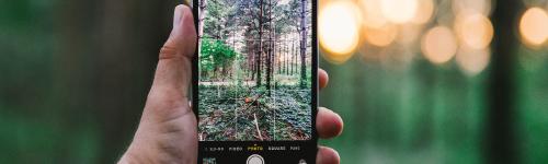 smartphone prenant une photo de bois
